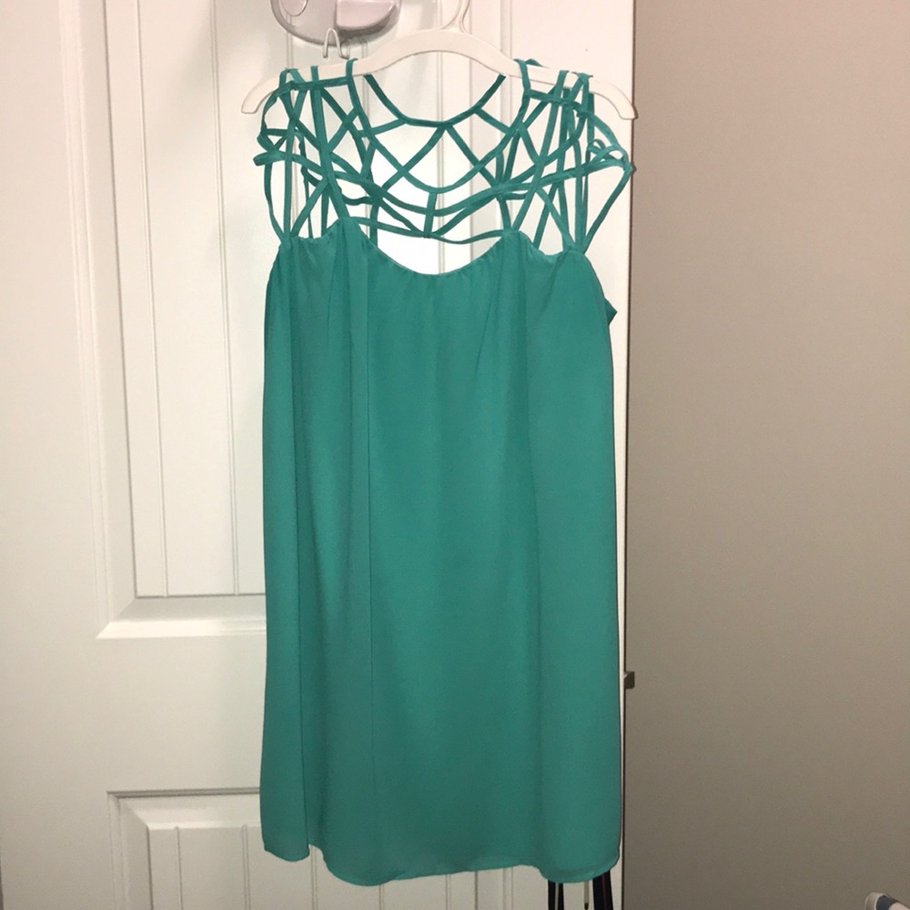 Naked Zebra boutique dress